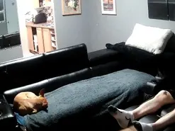 Amateur Sex Cam of dace8312