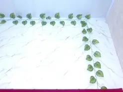 Amateur Adult Webcam of amandacanelacm