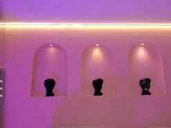 Amateur Best live sex cam show of AllisonRogers