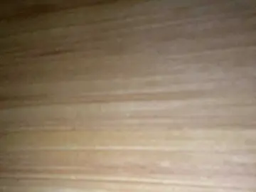 Bongacams Private Sex Chat of Asiankitties