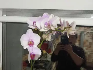 ElzaJewel