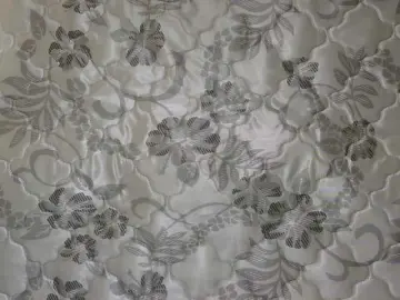 Bongacams Watch Live Sex Cams of sexxynila