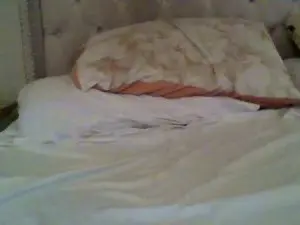 Cam4 Free Live Porn of estet11