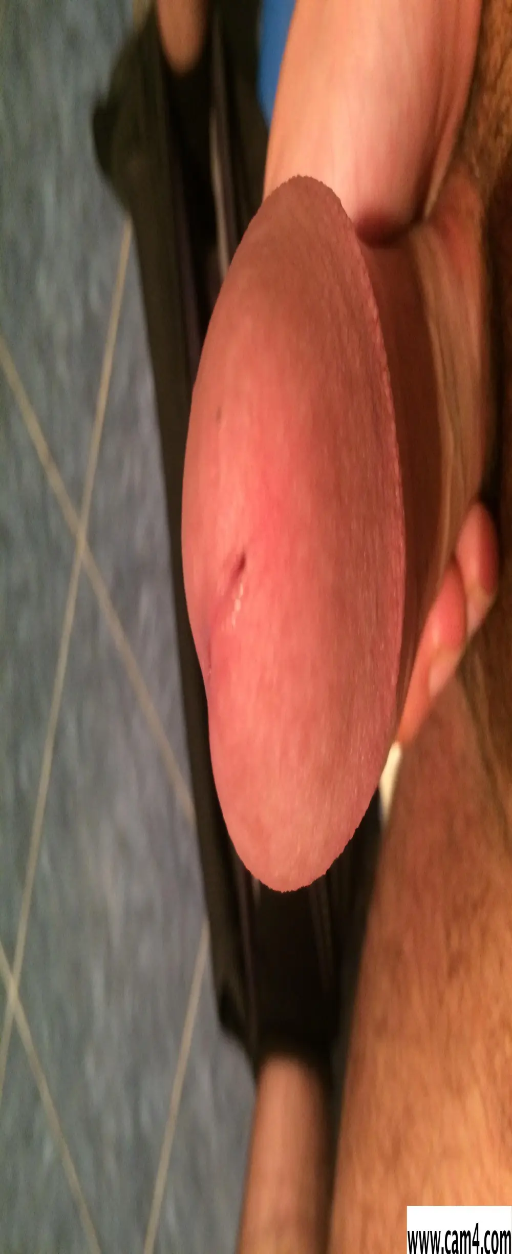 bigcock_052