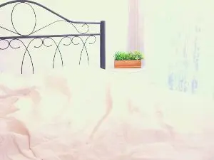 Cam4 Watch Live Sex Cams of FernGladney