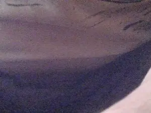 Cam4 Live Sex of pars_