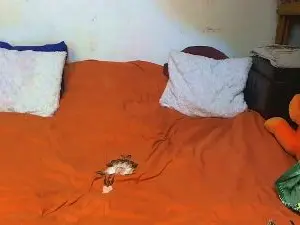 Cam4 Live Porn of Monikan