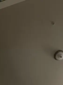 Cam4 Live Sex Cam of bubblegumpussy2