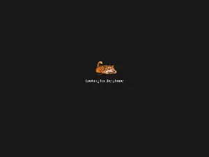 Cam4 Free Live Porn of valdelacroix