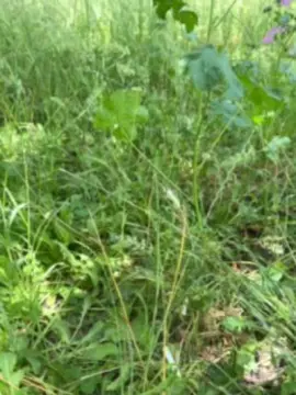Cam4 Live Sex of Xxlian23