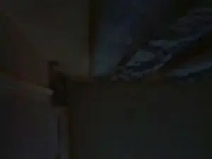 Cam4 Live Porn of PshonjMtce