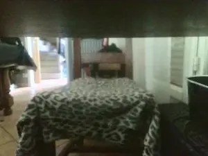 Cam4 Best live sex cam show of patoche5969
