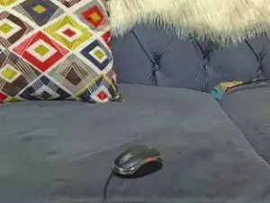 Cam4 Sex Cam of spicyebony2