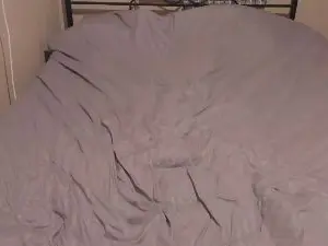 Cam4 Best live sex cam show of eva_zero