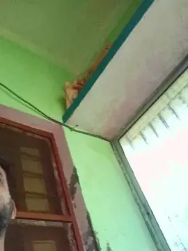 Cam4 Nude Webcam of chiranjitho1
