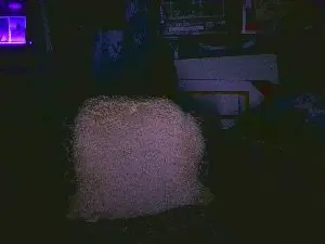 Cam4 Sex Chat of blindsurfer