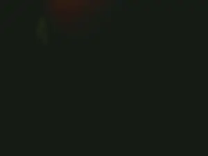 Cam4 Free Live Porn of tiny1999