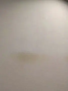 Cam4 Live Sex of tonytuga