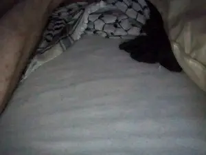 Cam4 Free Porn Cam of kriss206
