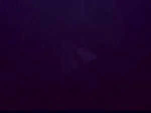 Cam4 Live Porn of Mimi_Petitte