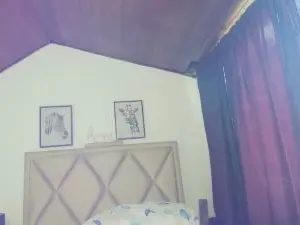 Cam4 Best Webcam of Miss_Casius