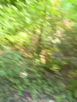 Cam4 Watch Live Sex Cams of Bittchiz686868