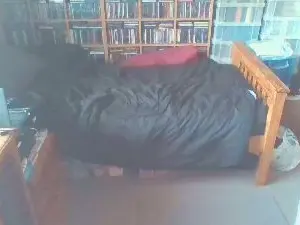 Cam4 Nude Webcam of mojitosguy