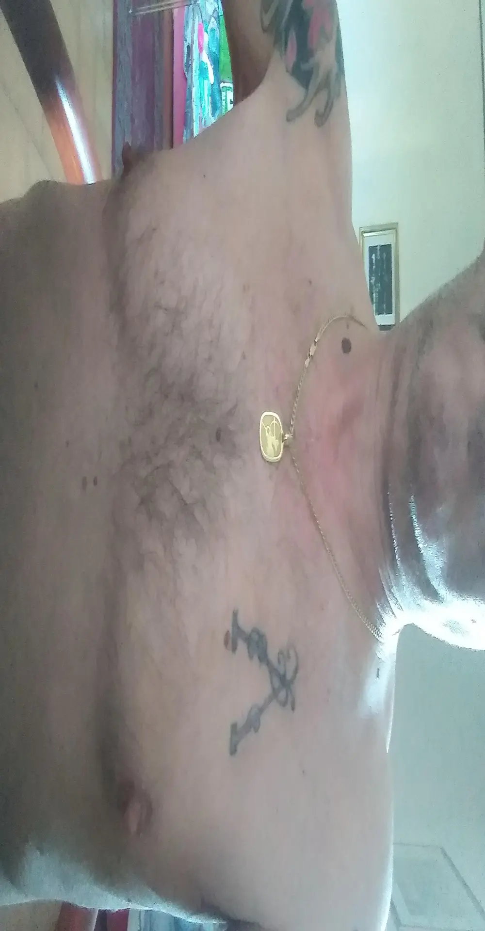 bisonef2