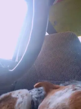 Cam4 Sex Cam of Dontbejelly2