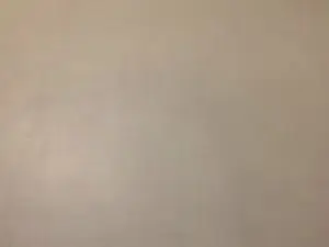 Cam4 Free Porn Cam of Javierapalacios