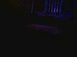 Cam4 Live Sex Cam of Phabio8