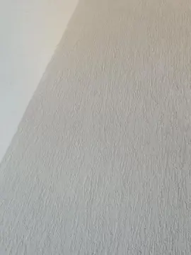 Cam4 Private Sex Chat of Negaodorio21