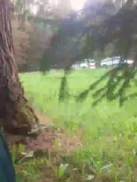 Cam4 Live Sex of sumis24