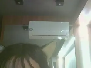 Cam4 Free Porn Cam of SkinnyKittenCam