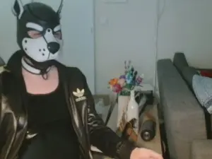 Cam4 Adult Video Chat of Suitedpup