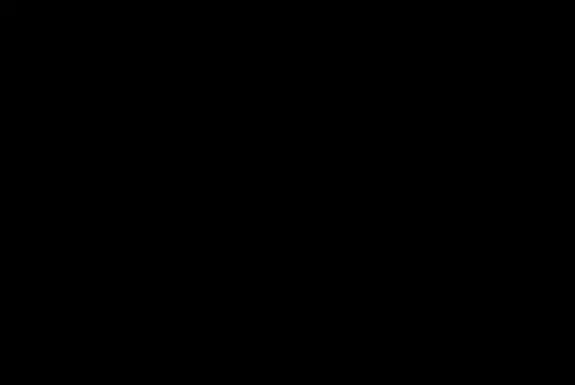 corlo1