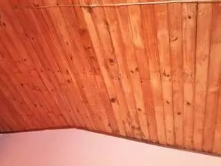 Camsoda Free Porn Cam of emmygomez