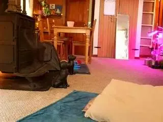 Camsoda Best Webcam of sashababes
