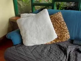 Camsoda Live Sex of alicemrtnz