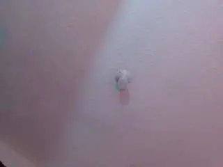 Camsoda Best Webcam of valeri-sotoo