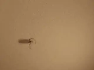 Camsoda Live Sex Cam of jaaadeee