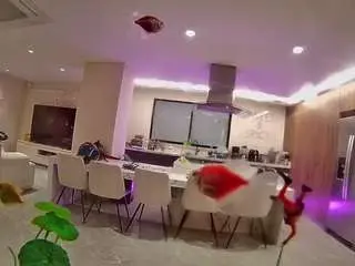 Camsoda Adult Webcam of voyeurcam-casa-salsa-fishtank