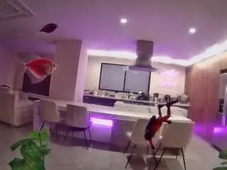 Camsoda Free Live Porn of voyeurcam-casa-salsa-fishtank