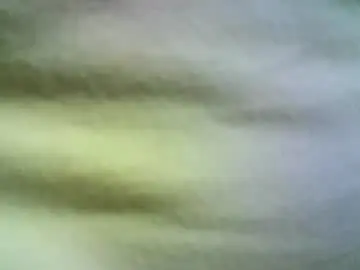 Chaturbate Sex Cam of felicaste