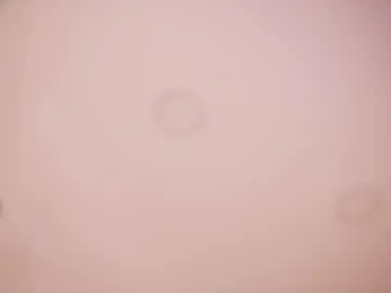 Chaturbate Live Sex of abby_me