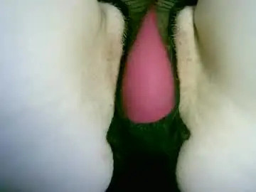 Chaturbate Sex Cam of my_tightholes