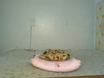Chaturbate Adult Webcam of miss_lolah7