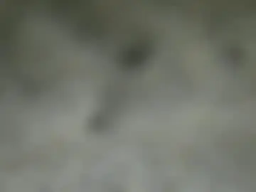 Chaturbate Free Porn Cam of ezzcunha