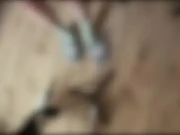 Chaturbate Free Live Porn of yexes