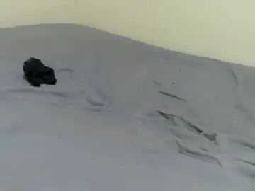 Chaturbate Watch Live Sex Cams of petite_bunni